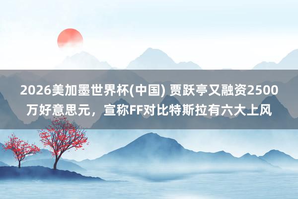 2026美加墨世界杯(中國) 賈躍亭又融資2500萬好意思元,宣稱FF對比特斯拉有六大上風