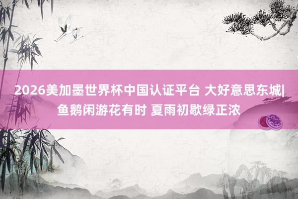 2026美加墨世界杯中國認證平臺 大好意思東城|魚鵝閑游花有時 夏雨初歇綠正濃
