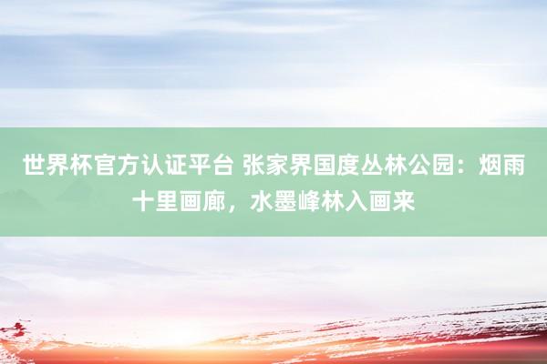 世界杯官方認(rèn)證平臺 張家界國度叢林公園:煙雨十里畫廊,水墨峰林入畫來