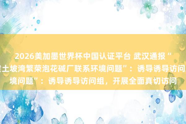 2026美加墨世界杯中國認證平臺 武漢通報“新洲區李集街張信村黃土坡灣繁榮泡花堿廠聯系環境問題”:誘導誘導訪問組,開展全面真切訪問