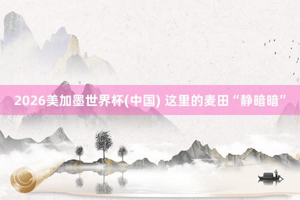 2026美加墨世界杯(中國) 這里的麥田“靜暗暗”
