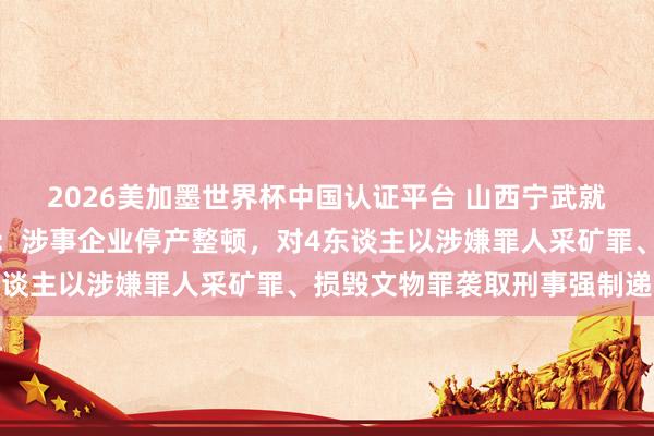 2026美加墨世界杯中國認證平臺 山西寧武就神達朝凱煤業問題通報:涉事企業停產整頓,對4東談主以涉嫌罪人采礦罪、損毀文物罪襲取刑事強制遞次