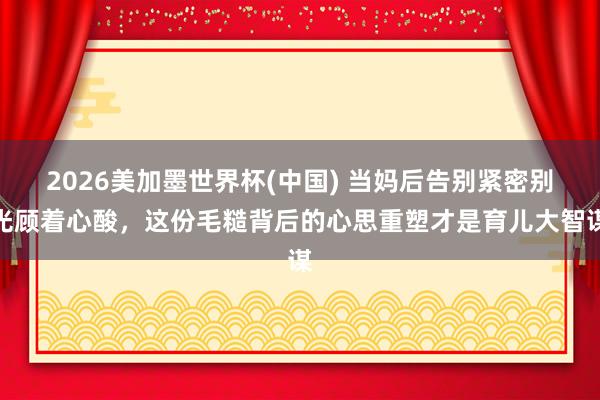 2026美加墨世界杯(中國) 當媽后告別緊密別光顧著心酸,這份毛糙背后的心思重塑才是育兒大智謀