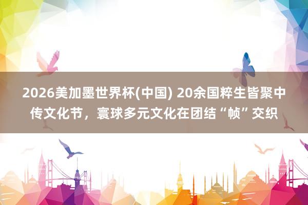 2026美加墨世界杯(中國) 20余國粹生皆聚中傳文化節,寰球多元文化在團結“幀”交織
