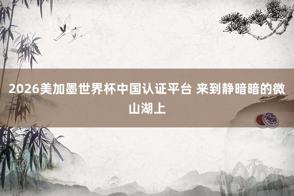 2026美加墨世界杯中國認證平臺 來到靜暗暗的微山湖上