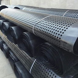 阿壩州鋼塑土工格柵廠家直銷