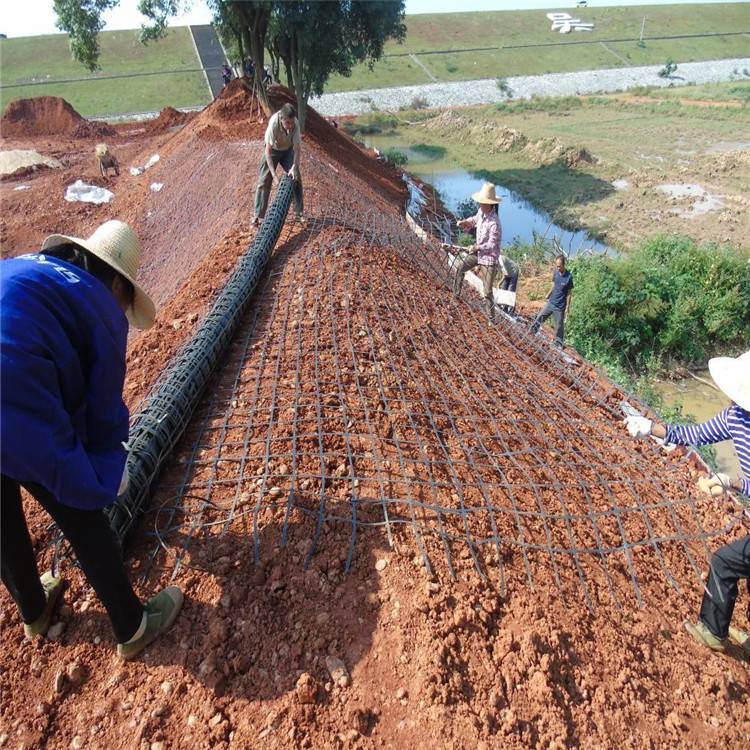 遼寧阜新市公路鐵路路基工程鋼塑土工格柵 擋土墻工程用鋼塑土工格柵