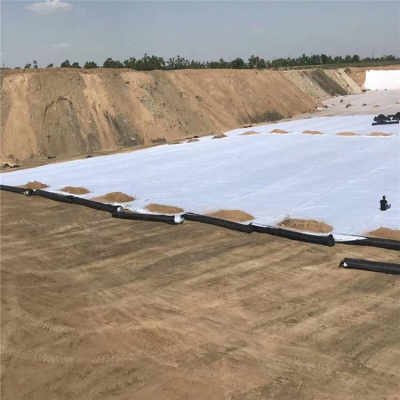 營口鋼塑土工格柵廠家今日報價及市場行情分析